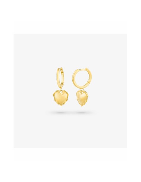 Ladies' Earrings Radiant RY000056 Stainless steel 2,5 cm