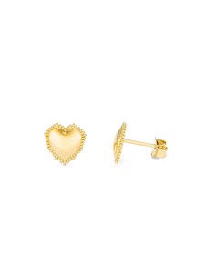 Ladies' Earrings Radiant RY000055 Stainless steel 1,5 cm 2