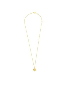 Ladies' Necklace Radiant RY000052 45 cm 2