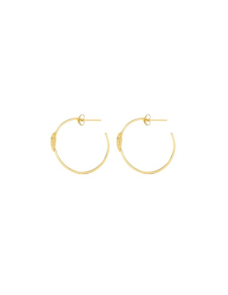 Ladies' Earrings Radiant RY000057 Stainless steel 3 cm