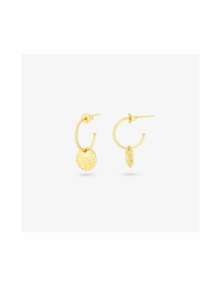 Ladies' Earrings Radiant RY000027 Stainless steel 2 cm