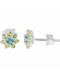 Ladies' Earrings Radiant RY000109 Stainless steel 1 cm
