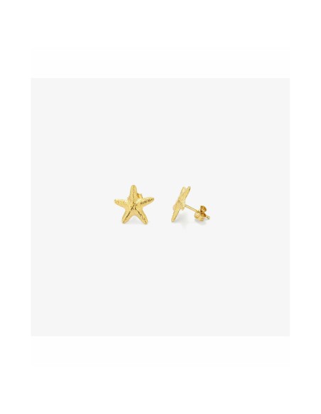 Ladies' Earrings Radiant RY000135 Stainless steel 1 cm