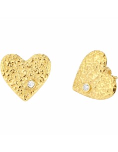 Ladies' Earrings Radiant RY000101 Stainless steel 2 cm