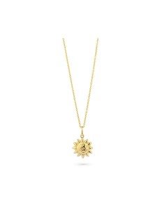 Ladies' Necklace Radiant RY000151 45 cm
