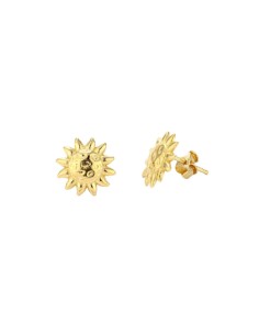 Ladies' Earrings Radiant RY000155 Stainless steel 1 cm
