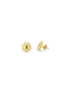 Ladies' Earrings Radiant RY000153 Stainless steel 1 cm