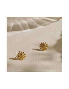 Ladies' Earrings Radiant RY000153 Stainless steel 1 cm 2