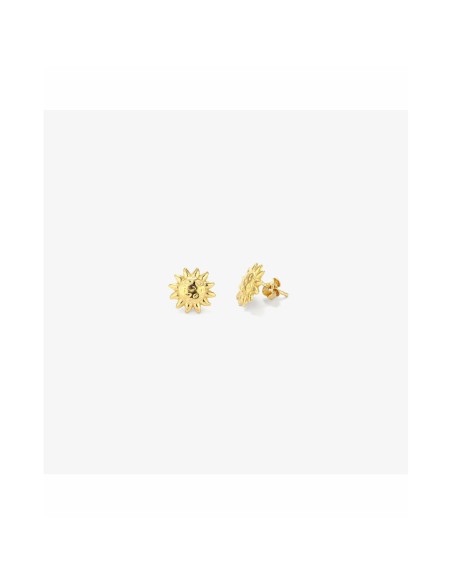 Ladies' Earrings Radiant RY000153 Stainless steel 1 cm