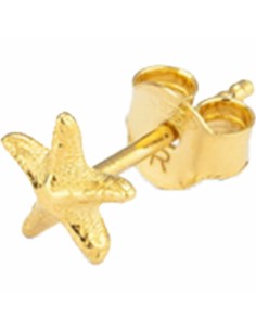 Ladies' Earrings Radiant RY000141