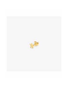 Ladies' Earrings Radiant RY000141 2