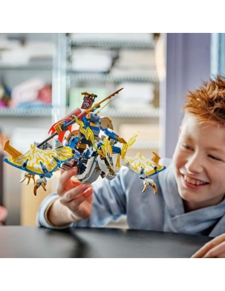 Construction set Lego 71843