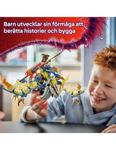 Construction set Lego 71843