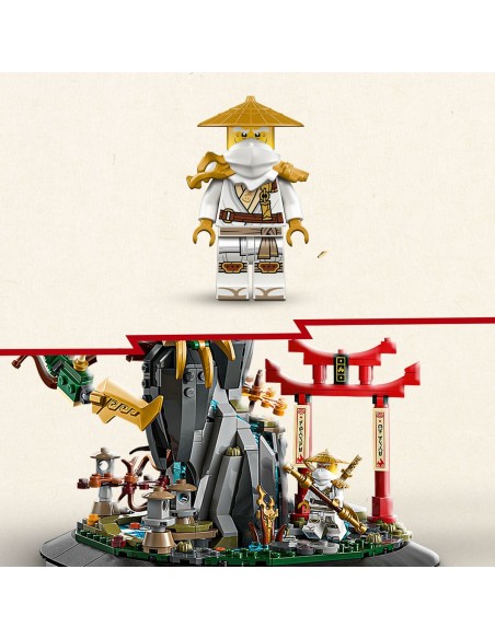 Construction set Lego 71847