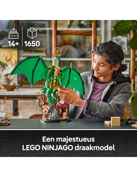 Construction set Lego 71847