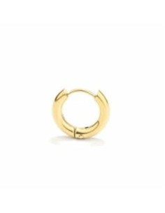 Earrings Radiant RH000035