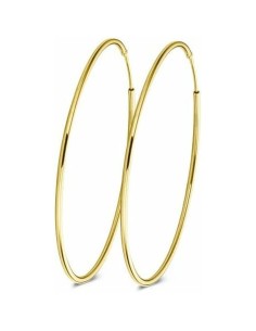 Earrings New Bling 9NB-0568