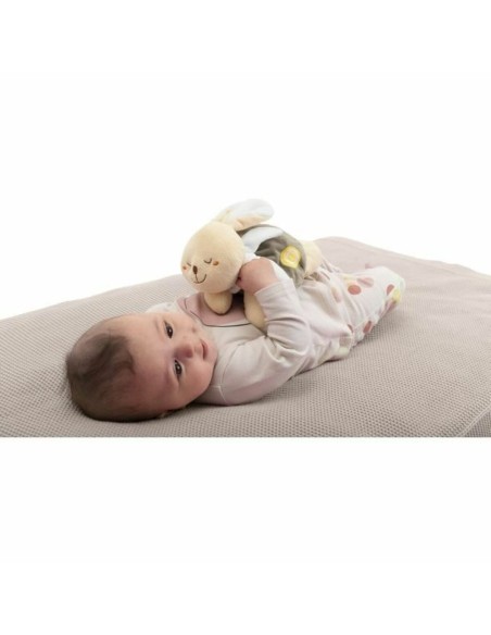 Fluffy toy Chicco Beige