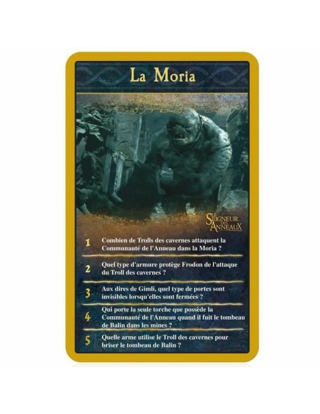 Board game Winning Moves THE LORD OF THE RINGS (FR)