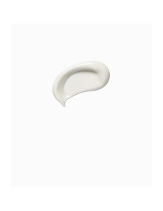 Day Cream Payot Pâte Grise Émulsion 2