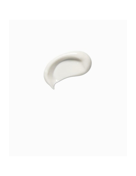 Day Cream Payot Pâte Grise Émulsion