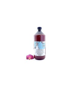Moisturizing Shampoo Davines Well-Being 1 L